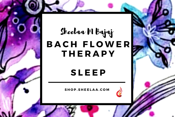 Sleep Online Store of Sheelaa M Bajaj