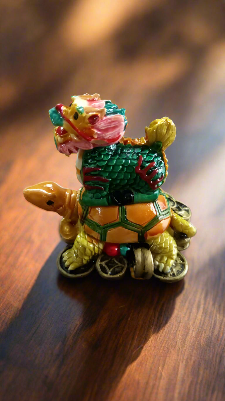 Turtle Chillin Online Store of Sheelaa M Bajaj