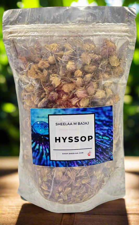 HYSSOP HERB(50grms) Online Store of Sheelaa M Bajaj