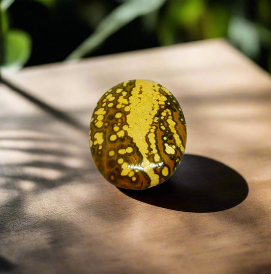 Ocean Jasper shop.sheelaa.com by Sheelaa M Bajaj