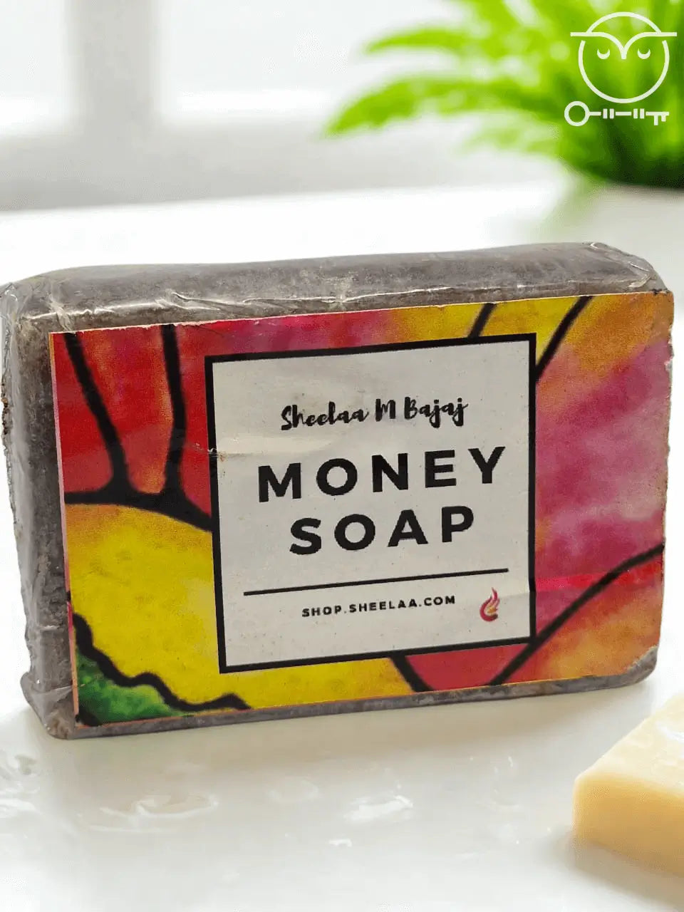 Sheela M Bajaj's Money Soap