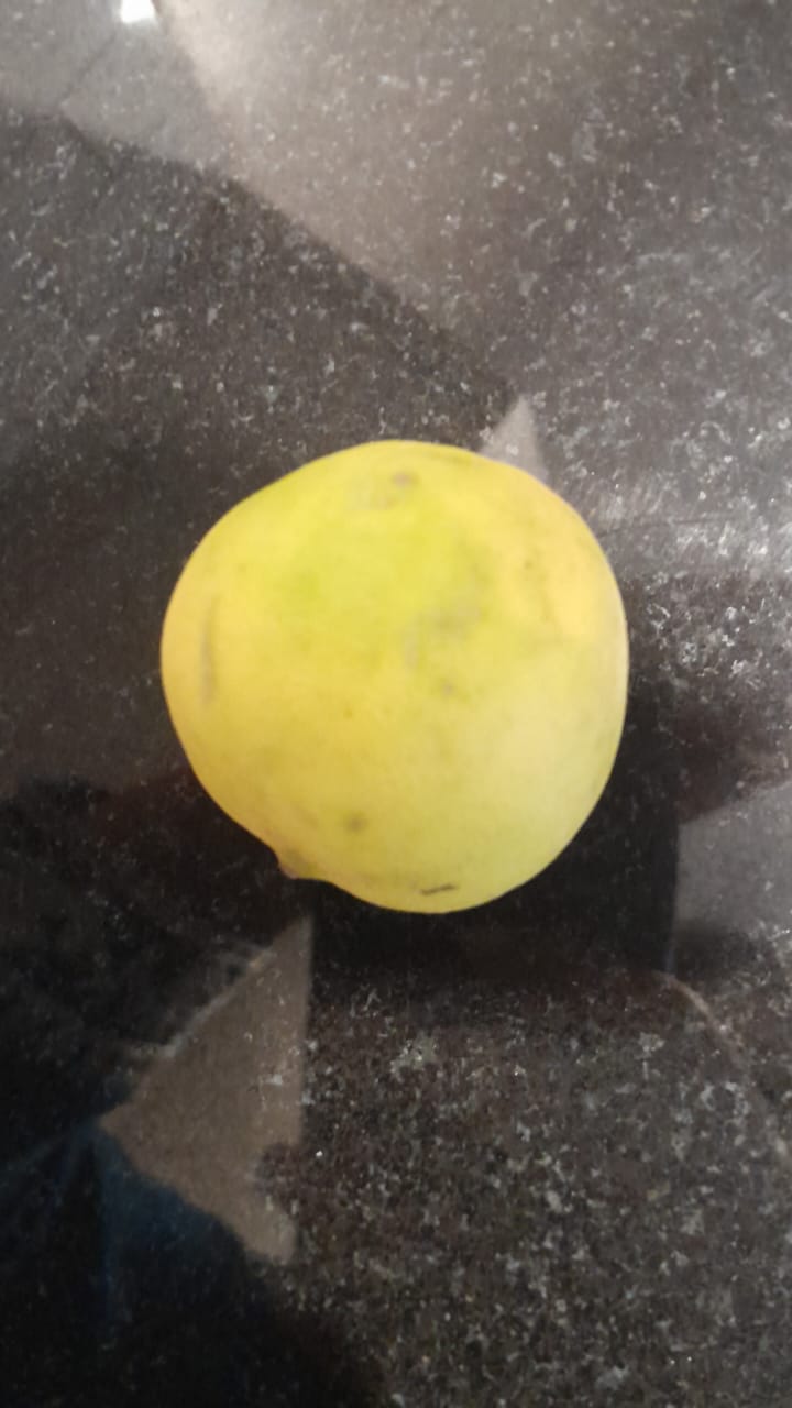 Blessed Lemon