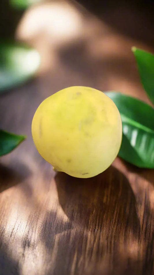 Sheela M Bajaj's Blessed Lemon

