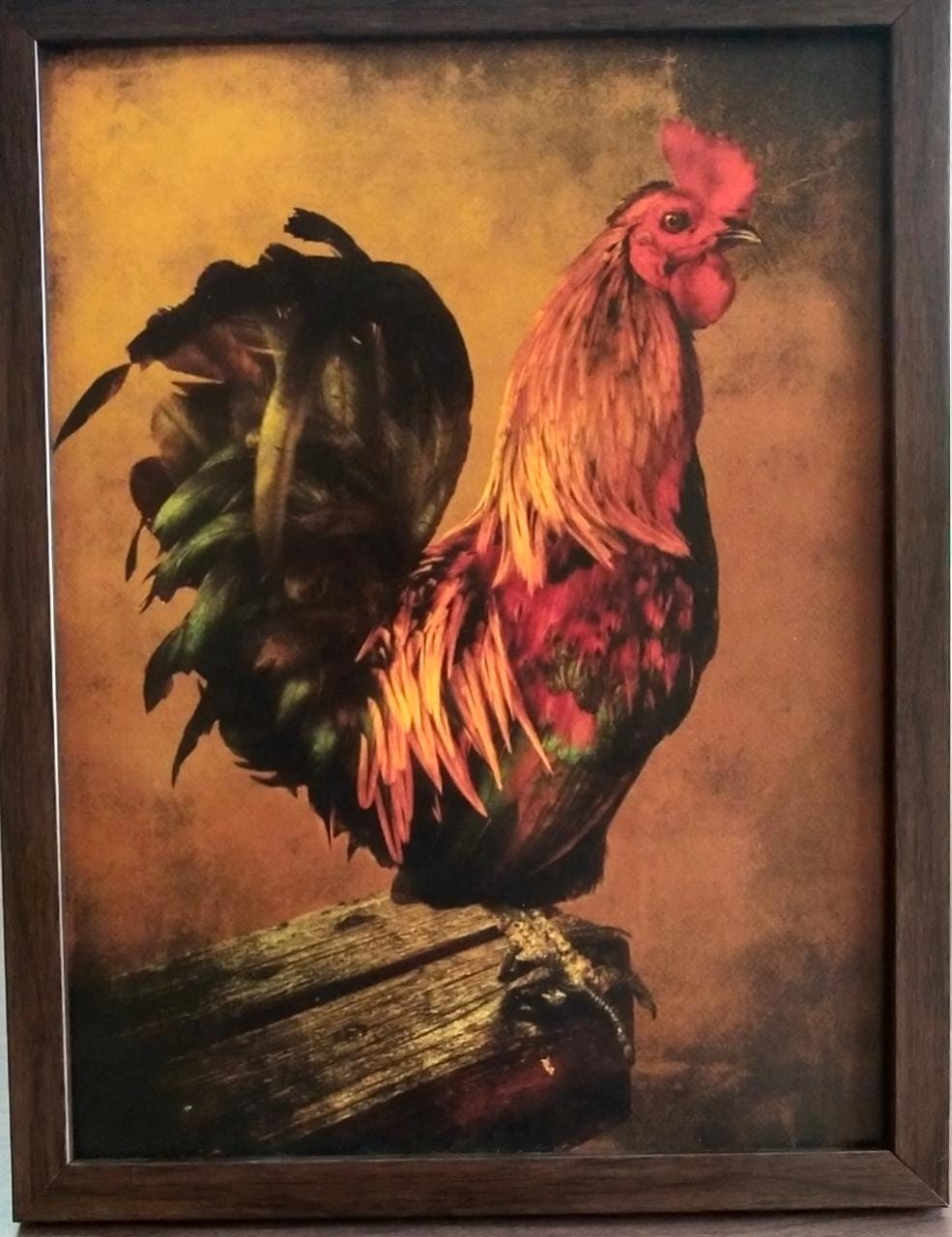 Rooster frame
